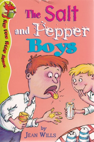 The Salt and Pepper Boys (Shelfworn) by Jean Willis