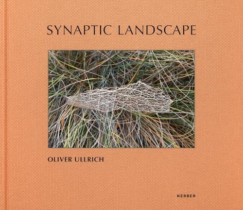 Oliver Ullrich Synaptic Landscape by Oliver Ullrich | Michael Wimmer