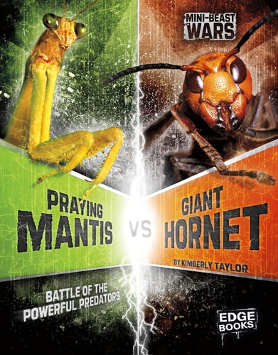 Praying Mantis vs Giant Hornet Battle by Alicia Z. Klepeis