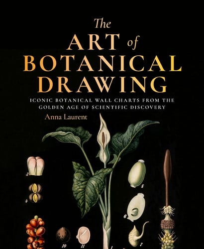 The Art of Botanical Painting Iconic Botanical Wall Charts from the Golden Age of Scientific Discovery by Anna Laurent