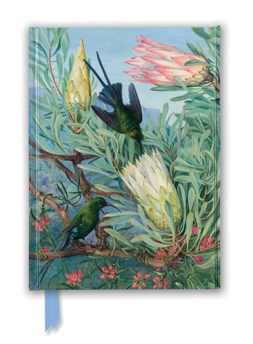 (TXS) Kew Gardens' Marianne North: Honeyflowers & Honeysuckers (Foiled Journal) by Flame Tree Studio