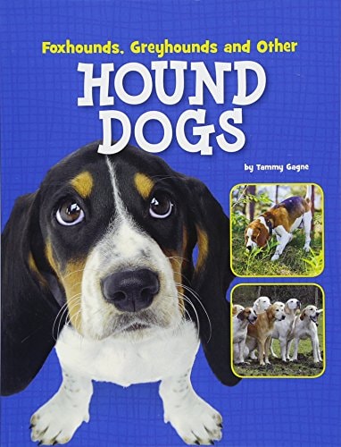 Foxhounds Greyhounds & Other Hound Dogs by Tammy Gagne