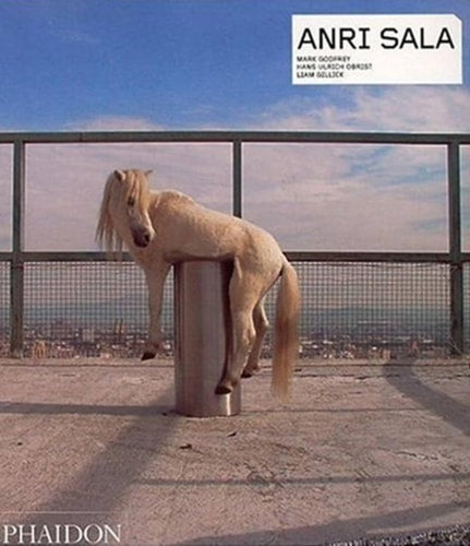 Anri Sala (Phaidon Contemporary Artists Series) by Mark Godfrey | Hans Ulrich Obrist | Liam Gillick