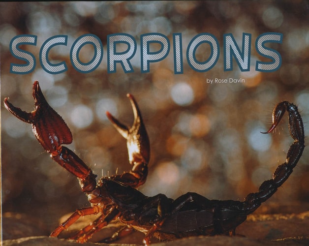 Scorpions (Pebble Plus: Meet Desert Animals) by Rose Davin