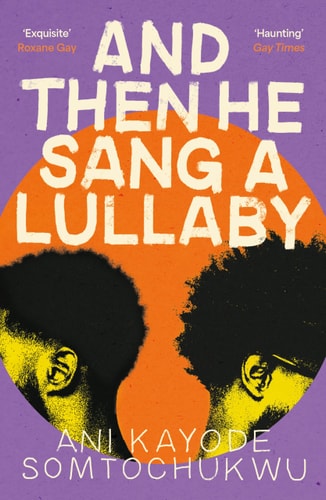 And Then He Sang a Lullaby by Ani Kayode