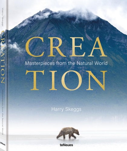 Schöpfung: Meisterwerke der Natur von Skeggs | Harry (pht)