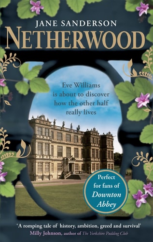 Netherwood by Sarah Moore Fitzgerald