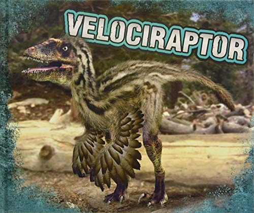 Velociraptor by Tammy Gagne