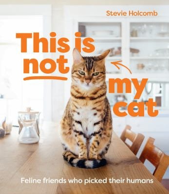 This Is Not My Cat: Feline Friends Who Picked Their Humans by Stevie Holcomb