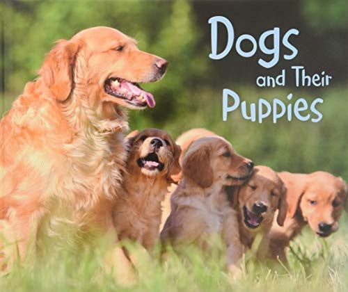 Dogs and their puppies by Tagliaferro, Linda