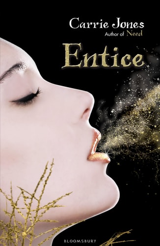 Entice (shelfworn) by CarrieJones