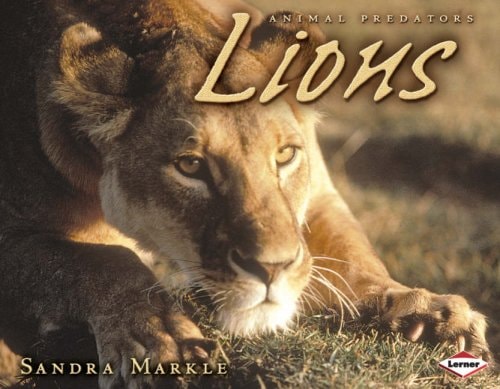 Lions (shelfworn) by Sandra Markle