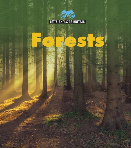 Forests by James Nixon