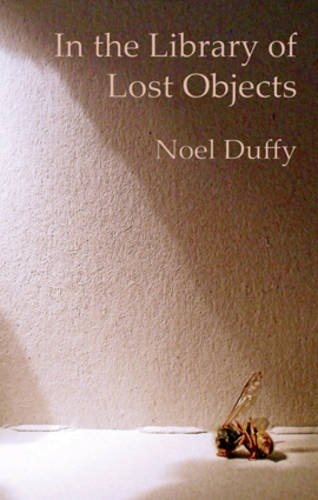 In the Library of Lost Objects by Noel Duffy