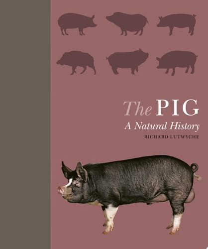 The Pig A Natural History (Shelfworn) by Richard Lutwyche