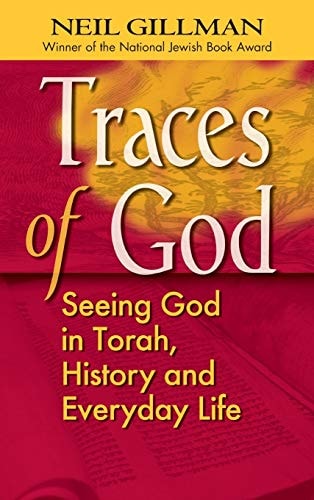 Traces of God: Seeing God in Torah, History and Everyday Life by Rabbi Neil Gillman