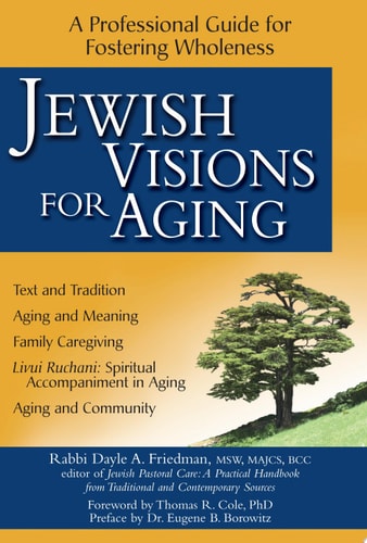 Jewish Visions for Aging A Professional Guide for Fostering Wholeness by Dayle A. Friedman