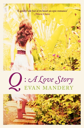 Q: A Love Story. Evan Mandery by Evan J. Mandery,Evan Mandery