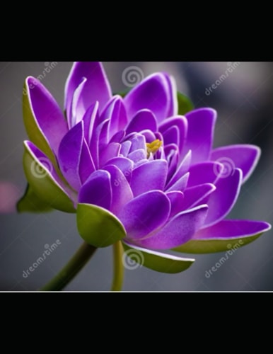 Hanging Valley (an Inspector Banks novel) by Peter Robinson