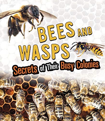 Bees and Wasps Secrets of Their Busy Colonies by Latta Sara L.