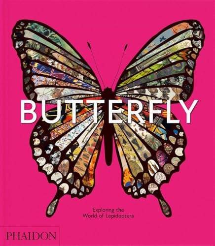 Butterfly Exploring the World of Lepidoptera by Phaidon Editors | David G James