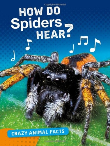 How Do Spiders Hear? by Nancy Furstinger