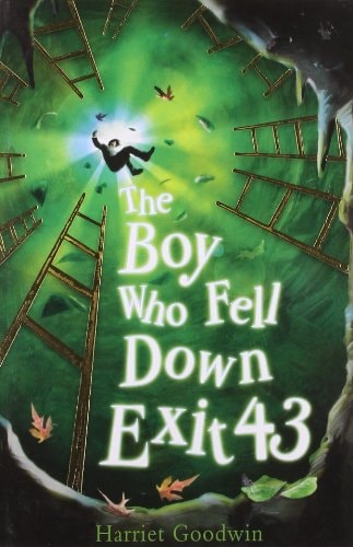 The Boy Who Fell Down Exit 43 (Shelfworn) by Goodwin, Harriet