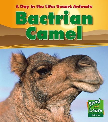 Bactrian Camel by Anita Ganeri