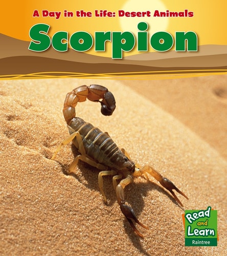Scorpion by Anita Ganeri