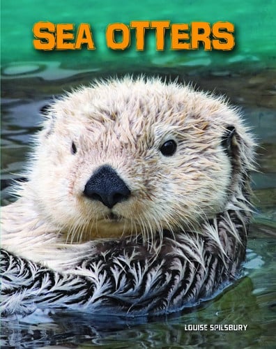Sea otters by Spilsbury, Louise