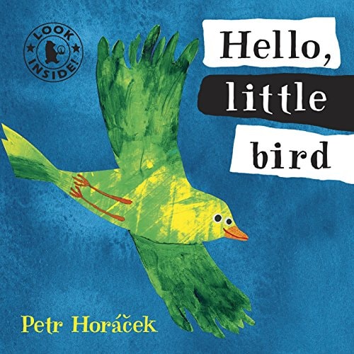 Hello, Little Bird (Shelfworn) by Petr Horacek