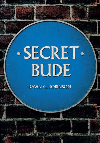 Secret Bude by Dawn G. Robinson