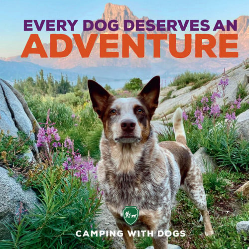 Every Dog Deserves an Adventure: Amazing Stories of Camping with Dogs by Tracosas, L. J.