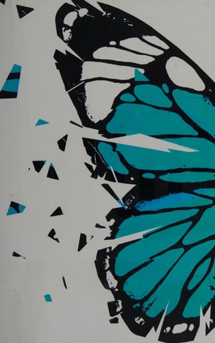 Drop by Katie Everson