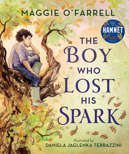 Boy Who Lost His Spark by Daniela Jaglenka Terrazzini