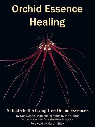 Orchid Essence Healing: A Guide to the Living Tree Orchid Essences by Don Dennis