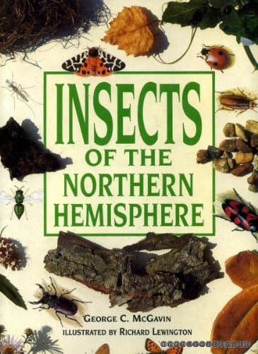 Insects of the Northern Hemisphere (Shelfworn) by McGavin, George