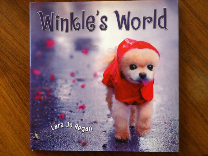 Winkle's World (shelfworn) by Lara Jo Regan