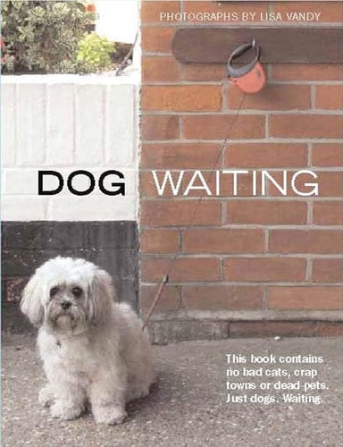 Dog Waiting by Lisa Vandy