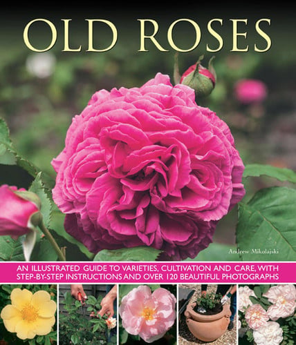Old Roses An Illustrated Guide to Varieties, Cultivation and Care, with Step-By-Step Instructions and Over 120 Beautiful Photographs by Andrew Mikolajski