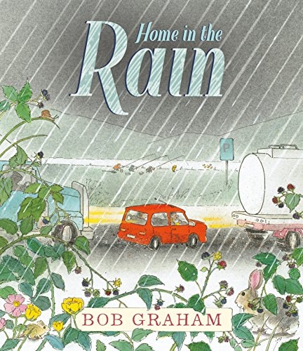 Home in the Rain von Bob Graham