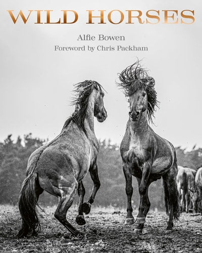 Wild Horses by Alfie Bowen