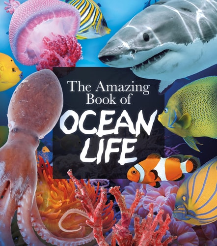 Amazing Book of Ocean Life (Amazing Books, 7) by Claudia Martin