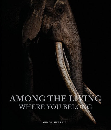 Among the Living: Where You Belong (shelfworn) by Guadalupe Laiz