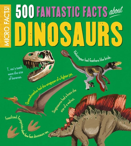 Micro Facts 500 Fantastic Facts Dinosaur by Anne Rooney