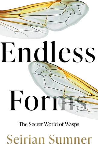 Endless Forms: The Secret World of Wasps by Seirian Sumner