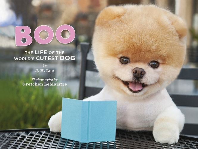 Boo: The Life of the World's Cutest Dog by J.H.Lee