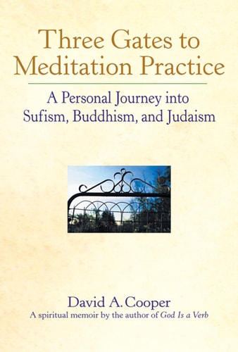 Three Gates To Meditation Practice - A Personal Journey Into Sufism, Buddhism And Judaism by David Cooper