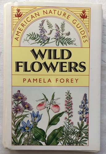 American Nature Guides: Wildflowers (shelfworn) by Pam Forey