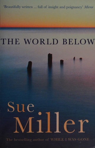 THE WORLD BELOW (Shelfworn) by Sue Miller